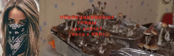 бошки Майский