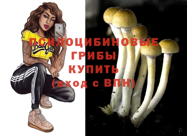 Альфа ПВП Вязники