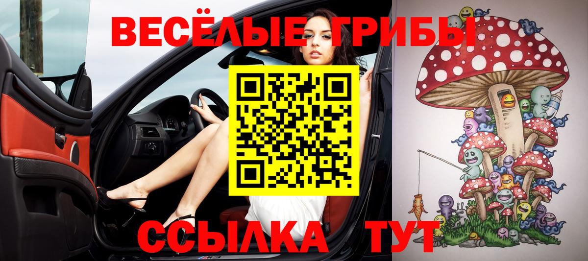 Псилоцибиновые грибы Psilocybe  Вход с VPN  Геленджик 
