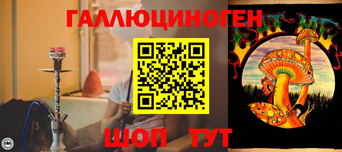 Галлюциногенные грибы мицелий Геленджик